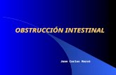 OBSTRUCCIÓN INTESTINAL Juan Carlos Mazzú. OBSTRUCCIÓN INTESTINAL La obstrucción intestinal es la detención del tránsito o de la progresión del contenido.