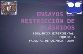 BIOQUÍMICA EXPERIMENTAL EQUIPO: 4 FACULTAD DE QUÍMICA, UNAM.