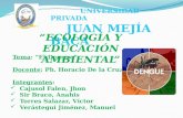 Tema: El Dengue Docente: Ph. Horacio De la Cruz Silva. Integrantes: Cajusol Falen, Jhon Sir Braco, Anahis Torres Salazar, Víctor Verástegui Jiménez, Manuel.