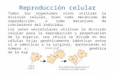 Reproducción celular Todos los organismos vivos utilizan la división celular, bien como mecanismo de reproducción, o como mecanismo de crecimiento del.