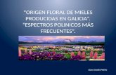 ORIGEN FLORAL DE MIELES PRODUCIDAS EN GALICIA. ESPECTROS POLINICOS MÁS FRECUENTES. SILVIA SOARES PRIETO.