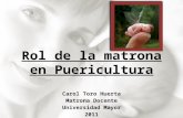 Rol de la matrona en Puericultura Carol Toro Huerta Matrona Docente Universidad Mayor 2011.