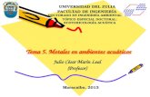 Tema 5. Metales en ambientes acuáticos Julio César Marín Leal (Profesor) DOCTORADO EN INGENIERÍA AMBIENTAL UNIVERSIDAD DEL ZULIA FACULTAD DE INGENIERÍA.
