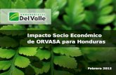 Impacto Socio Económico de ORVASA para Honduras Febrero 2013.