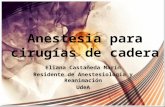 Eliana Castañeda Marín Residente de Anestesiología y Reanimación UdeA.