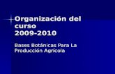 Organización del curso 2009-2010 Bases Botánicas Para La Producción Agrícola.