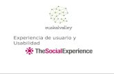 Experiencia de usuario y Usabilidad. 1.¿Qué es The Social Experience? 2.Diseño centrado en el usuario (UCD) 3.Experiencia de usuario (UX) 4.Usabilidad.