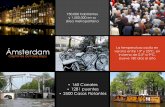Amsterdam, megatendencia, análisis del mercado y usuario