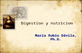 Digestion y nutricion María Rubio Dávila, Ph.D.. Introduccion Nosotros necesitamos de los alimentos para obtener energia Esta la obtenemos de los carbohidratos,