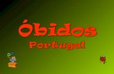 Óbidos es una villa portuguesa en el distrito de Leiria, región Centro.