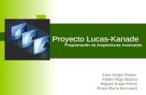 Proyecto Lucas-Kanade Programación de Arquitecturas Avanzadas Juan Diego Reyes Pablo Iñigo Blasco Miguel Ángel Pérez Rosa María Burrueco.