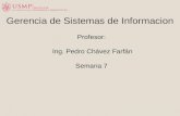 Profesor: Ing. Pedro Chávez Farfán Semana 7 Gerencia de Sistemas de Informacion.