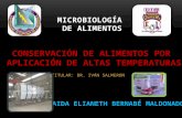 TITULAR: DR. IVÁN SALMERON MICROBIOLOGÍA DE ALIMENTOS.