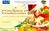 L/O/G/O Principios de Producción Agrícola UNIDAD I: PRODUCCIÓN AGROPECUARIA Ing. María Elena Ramírez 1T1 Ing. Agroindustrial 21/08/2012.
