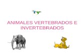 ANIMALES VERTEBRADOS E INVERTEBRADOS. Resuelve la siguiente actividad A continuación te presentamos el siguiente listado de animales sepáralos en vertebrados.