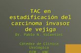 TAC en estadificación del carcinoma invasor de vejiga Dr. Pablo N. Valentini Cátedra de Clínica Urológica FCM - UNC.