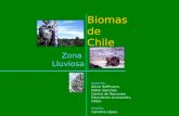 Biomas de Chile Zona Lluviosa Autores: Alicia Hoffmann. Pablo Sánchez. Centro de Recursos Educativos Avanzados, CREA. Diseño: Carolina López.
