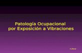 Patología Ocupacional por Exposición a Vibraciones A..Werner.