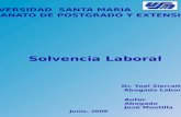 Solvencia Laboral Dr. Yoel Sierralta Abogado Laboral UNIVERSIDAD SANTA MARIA DECANATO DE POSTGRADO Y EXTENSION Autor Abogado José Montilla Junio, 2009.