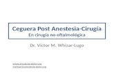 Ceguera Post Anestesia-Cirugía En cirugía no oftalmológica Dr. Víctor M. Whizar-Lugo  vwhizar@anestesia-dolor.org.