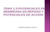 TEMA 1.3:POTENCIALES DE MEMBRANA EN REPOSO Y POTENCIALES DE ACCION Dra.Mildrey Rodríguez Amador.