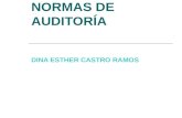 NORMAS DE AUDITORÍA DINA ESTHER CASTRO RAMOS. 2. Cuadro de Resumen NORMAS DE AUDITORIA FUENTES RAZÓN DE SER CLASIFICACIÓN PERSONALES DE EJERCICIO DE TRABAJO.