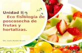 Unidad II Eco fisiología de poscosecha de frutas y hortalizas. MSc. Sandra Blandón Navarro.