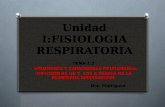Unidad I:FISIOLOGIA RESPIRATORIA TEMA 1.2 -. VOLUMENES Y CAPACIDADES PULMONARES. -DIFUSION DE O2 Y CO2 A TRAVES DE LA MEMBRANA RESPIRATORIA Dra. Rodríguez.