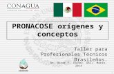 Dr. Oscar F. Ibáñez, UACJ. Marzo, 2014 PRONACOSE orígenes y conceptos 1 Taller para Profesionales Técnicos Brasileños.