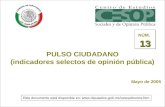 --1-- PULSO CIUDADANO (indicadores selectos de opinión pública) Mayo de 2005 13 NÚM. 13 Este documento está disponible en: .