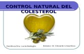 Forever Lean ayuda al Control natural del colesterol