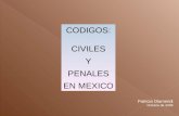 CODIGOS: CIVILES Y PENALES EN MEXICO Patricia Olamendi Octubre de 2008.