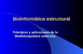 Bioinformática estructural Principios y aplicaciones de la Biofisicoquimica molecular.