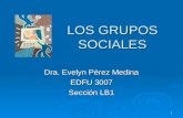 1 LOS GRUPOS SOCIALES Dra. Evelyn Pérez Medina EDFU 3007 Sección LB1.