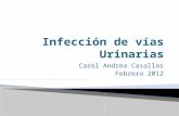 Carol Andrea Casallas Febrero 2012. Las infecciones de vías urinarias constituyen una causa muy importante de morbilidad con grandes costos; comúnmente.