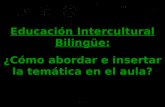 Educación Intercultural Bilingüe: ¿Cómo abordar e insertar la temática en el aula?