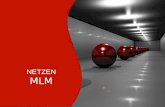 NETZEN MLM. Madurez y Experiencia Operando en 20 países Mas de 20 años de operaciones Mas de 400 empresas operando.