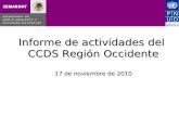 Informe de actividades del CCDS Región Occidente 17 de noviembre de 2010.