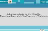México Subprocuraduría de Verificación Dirección General de Verificación y Vigilancia.