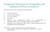 Programa Nacional de Posgrados de Calidad (PNPC) CONACyT Documentos que integran el programa 1.Convocatoria 2.Aviso importante 3.Fe de erratas 4.Anexos.