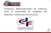 Proyecto: Sistematización de criterios para la inspección de Juzgados de Distrito y Tribunales de Circuito. 1.