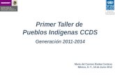 Primer Taller de Pueblos Indígenas CCDS Generación 2011-2014 Maria del Carmen Rodea Centeno México, D. F., 18 de Junio 2012.