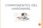 Hardware componentes