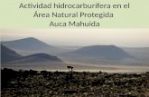 Actividad hidrocarburífera en el Área Natural Protegida Auca Mahuida.