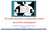 El riñón durante el episodio crítico de la Pre-eclampsia Fernando Lombi - Congreso de la ANBA Mar del Plata - 2012.