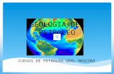 GEOLOGIA DEL PETROLEO CURSOS DE PETROLEO GRAL MOSCONI.