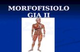 MORFOFISIOLOGIA II. Generalidades del cuerpo humano y del sistema osteomioarticular 1.1. Posición del hombre en la Naturaleza Lucha entre: El Idealismo.