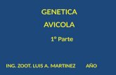 GENETICA AVICOLA ING. ZOOT. LUIS A. MARTINEZ AÑO 1° Parte.