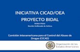 Comisión Interamericana para el Control del Abuso de Drogas (CICAD) INICIATIVA CICAD/OEA PROYECTO BIDAL Nelson Mena Sección Antilavado de Activos.
