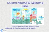 1 Encuesta Nacional de Nutrición y Salud Ministerio de Salud y Ambiente de la Nación Dirección Nacional de Salud Materno Infantil.